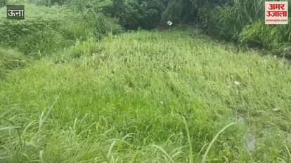 Una Roads blocked in Bangana subdivision drinking water supply schemes also disrupted