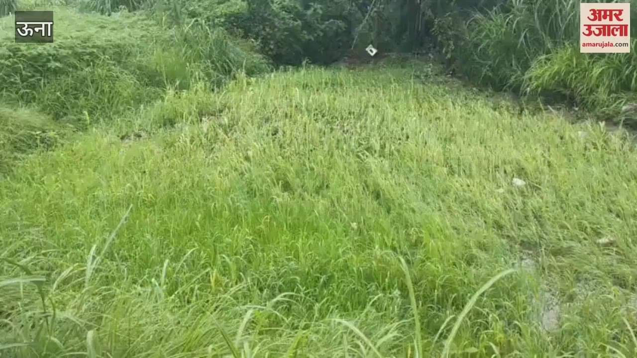 Una Roads blocked in Bangana subdivision drinking water supply schemes also disrupted