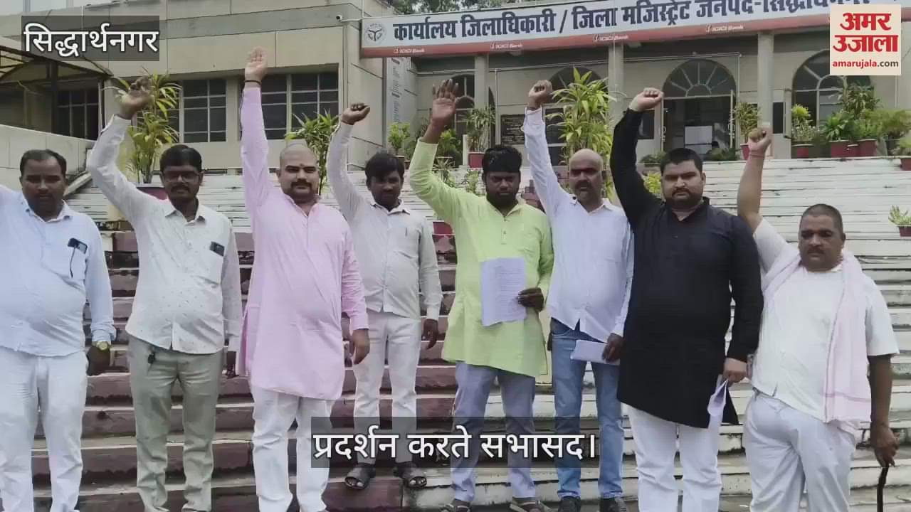 Council members staged a protest, alleged irregularities