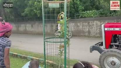 Social worker Sukhmani Dhillon created a record by planting 2 thousand saplings