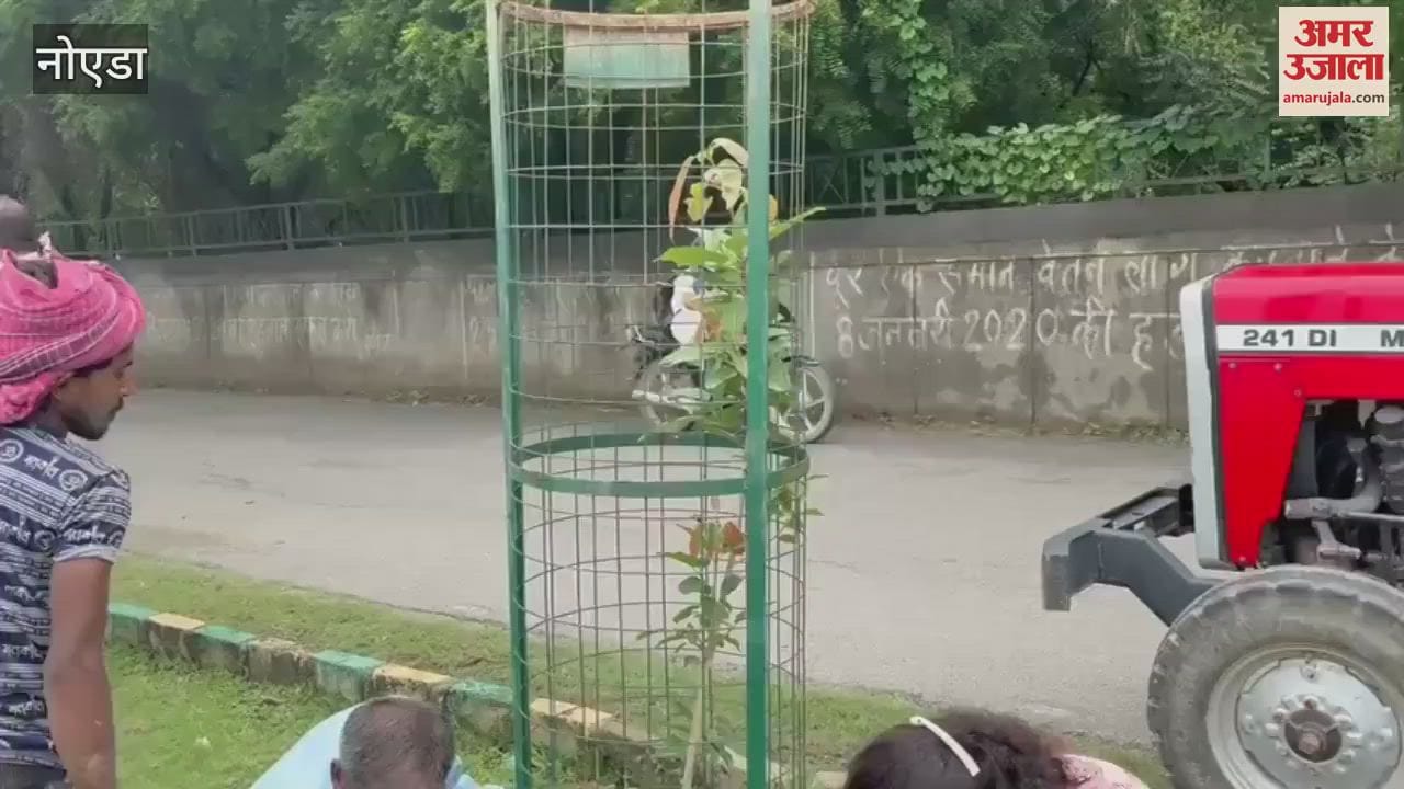 Social worker Sukhmani Dhillon created a record by planting 2 thousand saplings