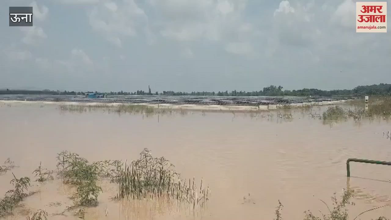 Una BJP protest against the problem of waterlogging in Pekhubela solar power project