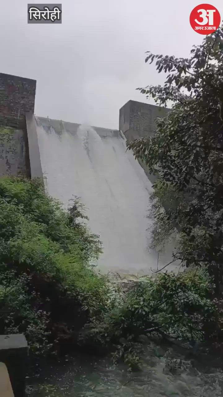 Lower Kodra Dam overflows due to 75 mm rain in Mount Abu, 3 shops damaged due to falling of tree in market