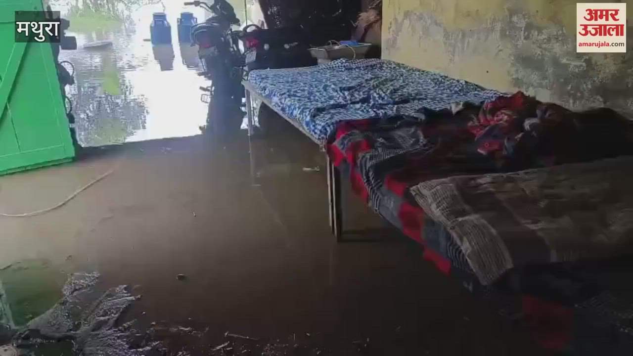 Rain becomes disaster waterlogging everywhere