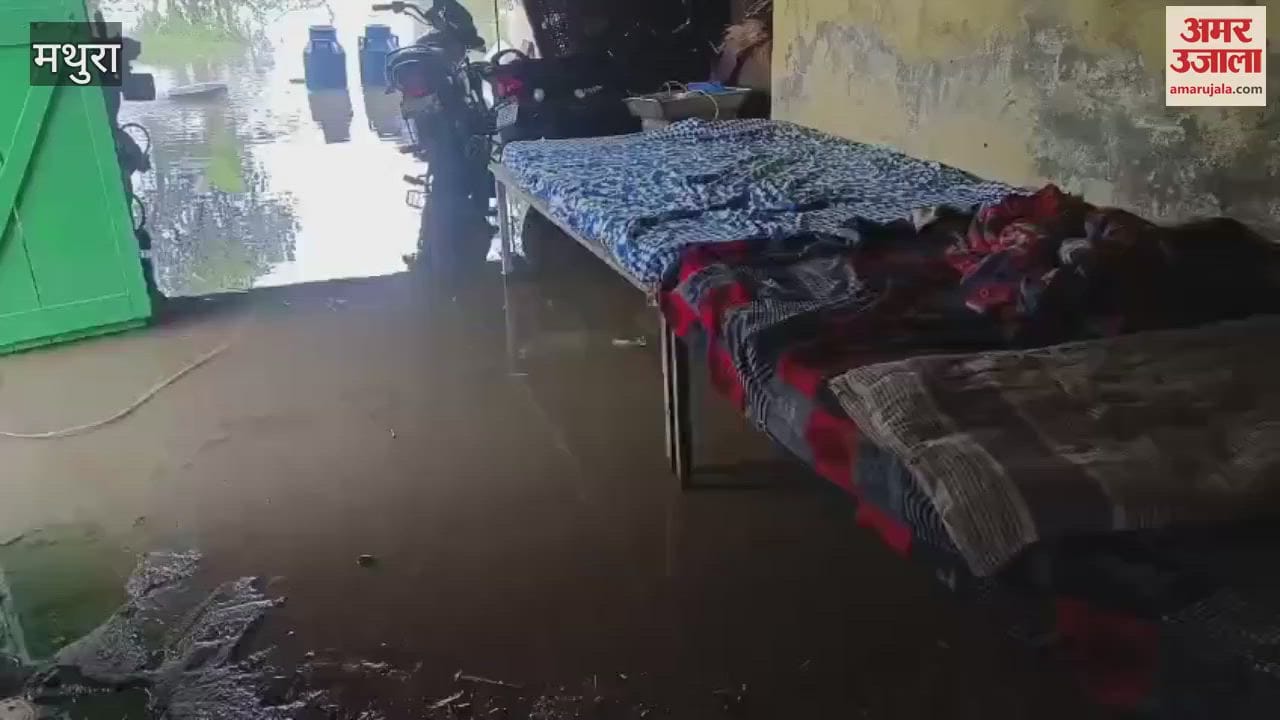 Rain becomes disaster waterlogging everywhere