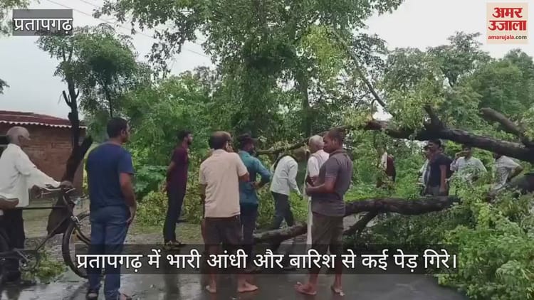 प्रतापगढ़ में भारी आंधी और बारिश से कई पेड़ गिरे, आवागमन बाधित होने से बढ़ी परेशानी - Many Trees Fell Due To Heavy Storm And Rain In Pratapgarh, Problems Increased Due To Traffic Disruption - Amar Ujala Hindi News Live