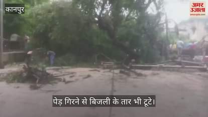 कानपुर में जूही-खलवा पुल पर पेड़ गिरने से रास्ता बंद, आवाजाही पूरी तरह ठप…बिजली आपूर्ति बाधित