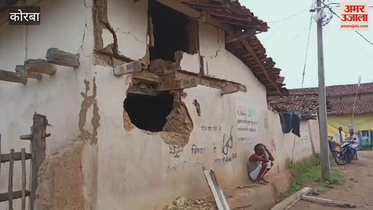 tusker elephant created havoc in Taulipali and Kudmura of Korba