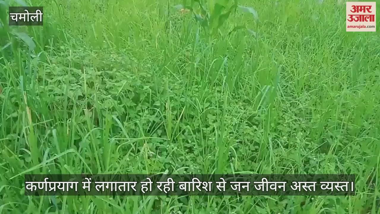 Continuous rain in Karnaprayag has disrupted public life Chamoli News