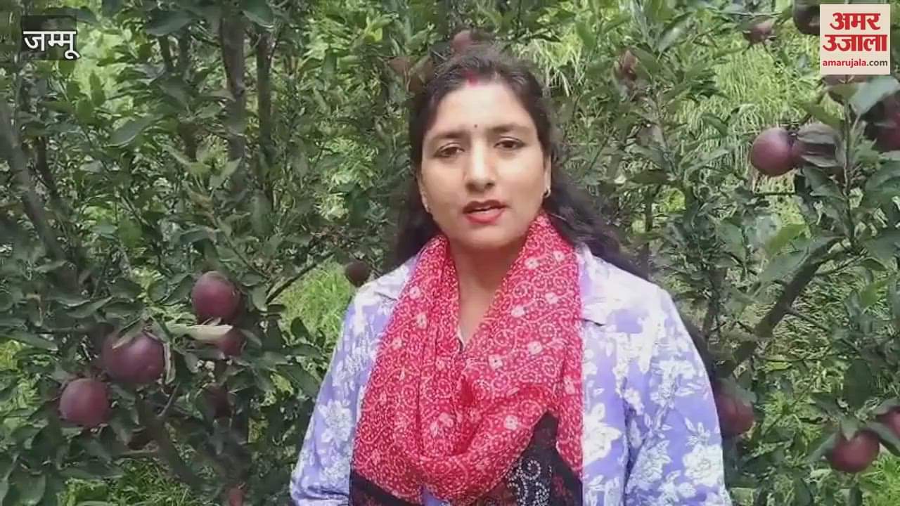 A farmer from Doda grew Kashmiri apple orchard in Doda and made it a source of his employment.