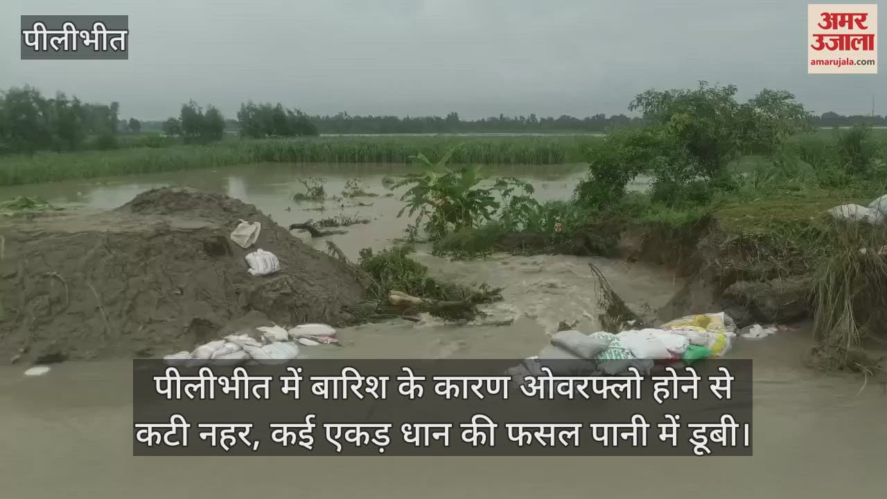 Canal cut due to overflow due to rain in Pilibhit
