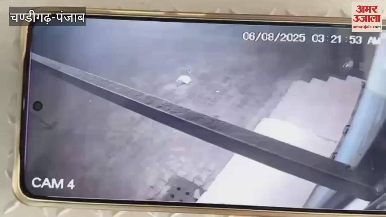 Thieves broke the shutter of shop in Guruharsahai