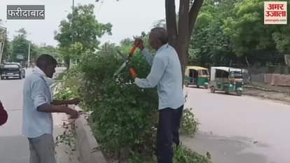 Faridabad: Corporation employees pruning trees and plants in the green belt at NIT 5