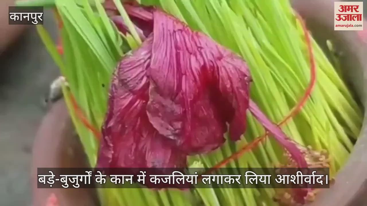 कानपुर के भीतरगांव में पारंपरिक कजलियां पर्व धूमधाम से मनाया गया