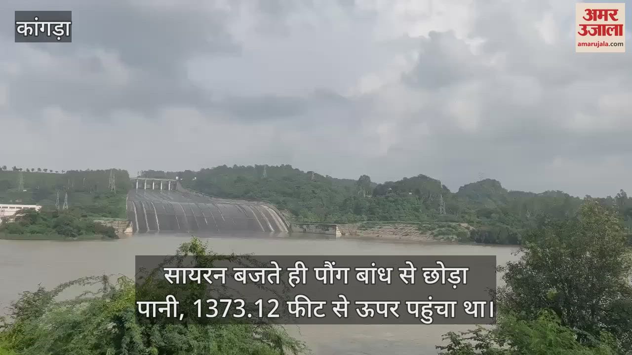 As soon as the siren sounded, water was released from Pong Dam, it had reached above 1373.12 feet