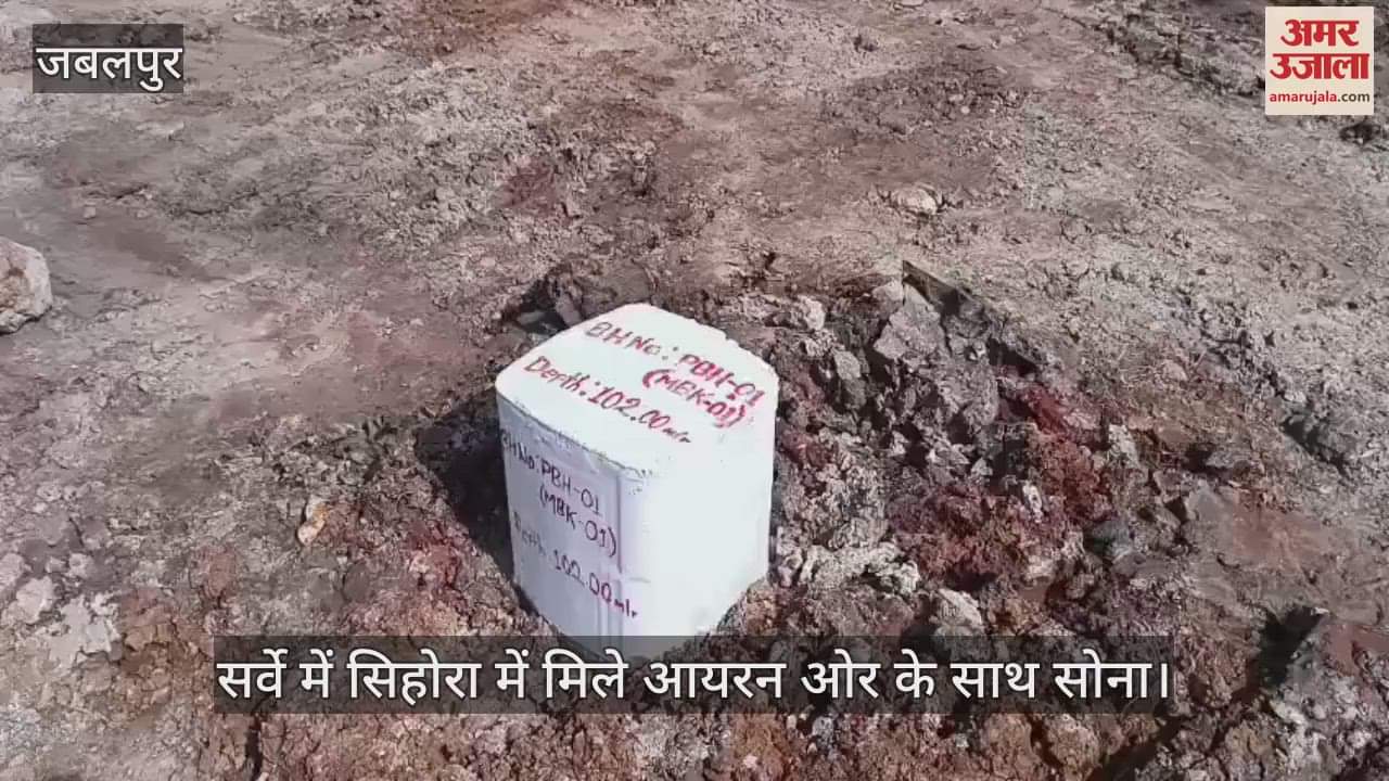 Gold along with iron ore found in Sihora during survey