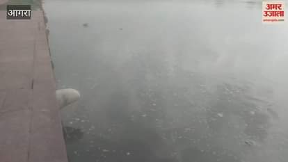 Yamuna in spate two and a half feet away from danger mark