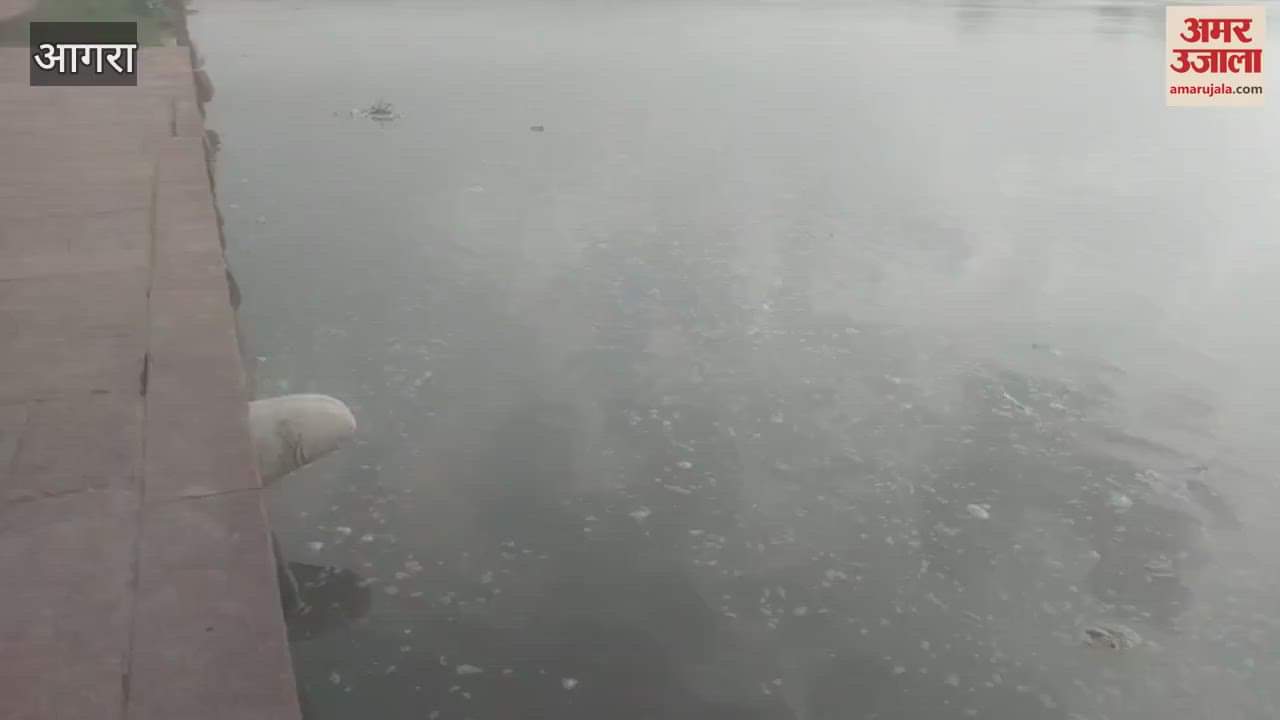 Yamuna in spate two and a half feet away from danger mark