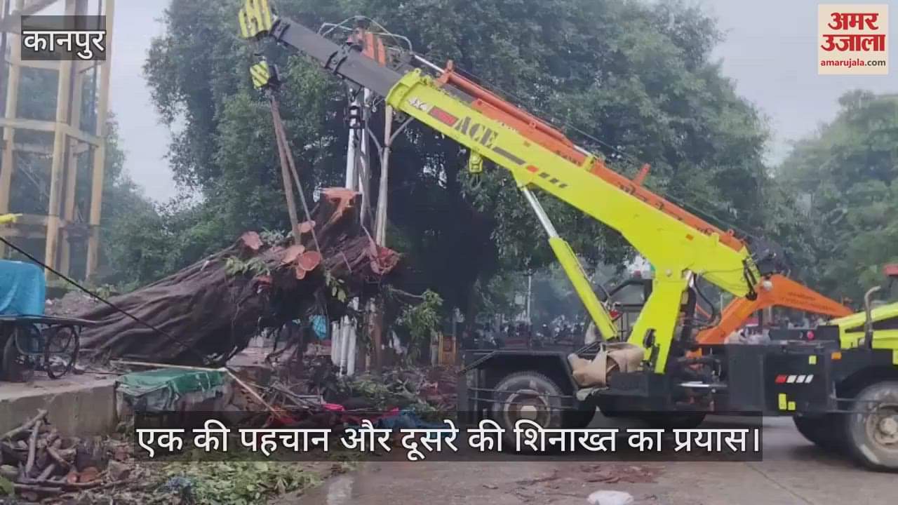 कानपुर में विशालकाय पेड़ गिरने के बाद मलबे में दबे मिले दो शव