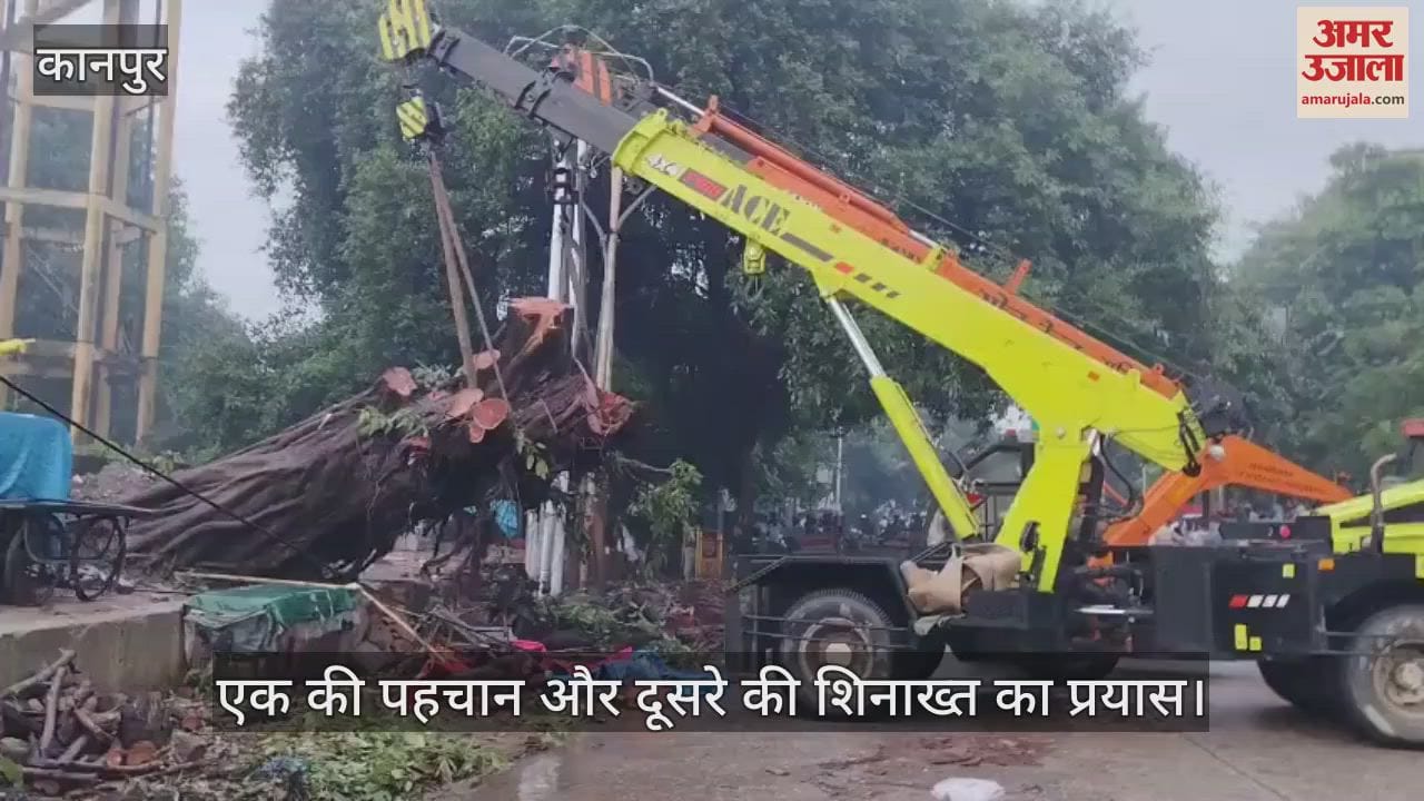कानपुर में विशालकाय पेड़ गिरने के बाद मलबे में दबे मिले दो शव