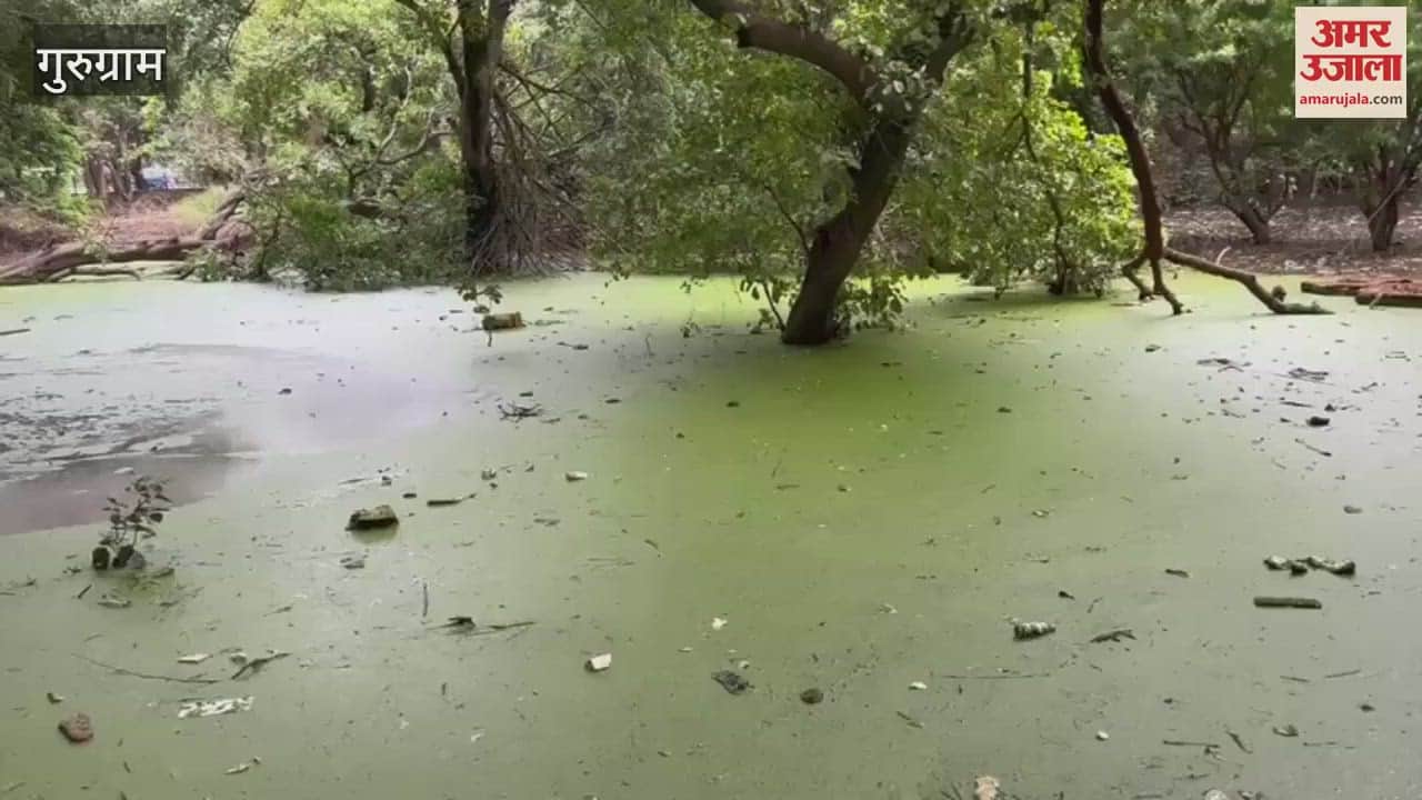 former Pradhan submitted memorandum to DC Gurugram for development of Green Belt Swarn Jayanti Park