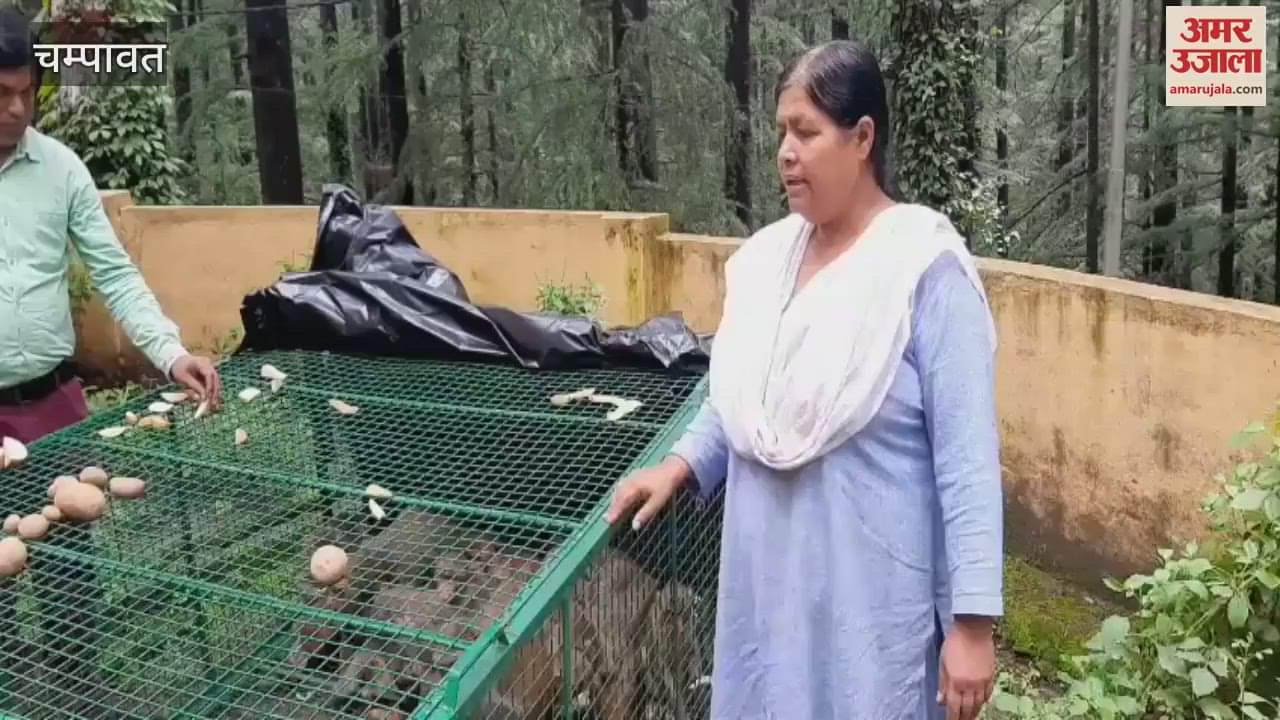 The work of catching the biting monkeys started in Lohaghat