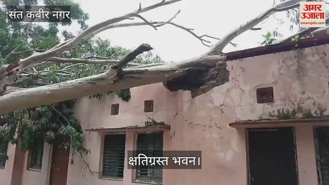 A building was damaged due to a tree falling in the block campus