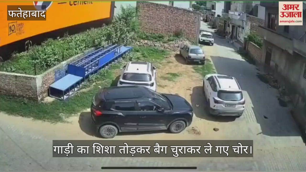 Thieves broke the glass of the car and stole the bag