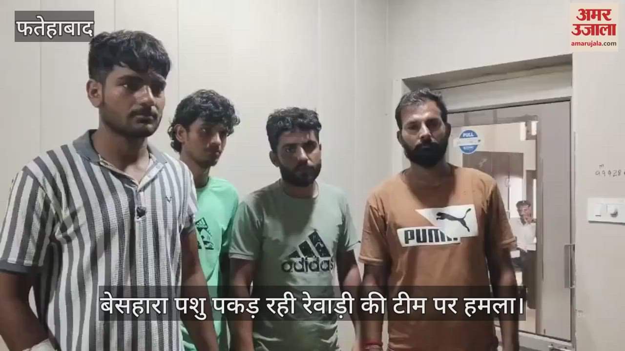 Attack on Rewari team catching stray animals