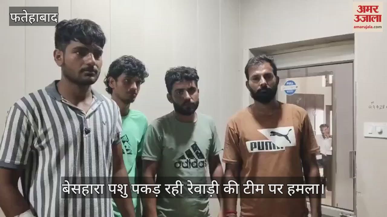 Attack on Rewari team catching stray animals