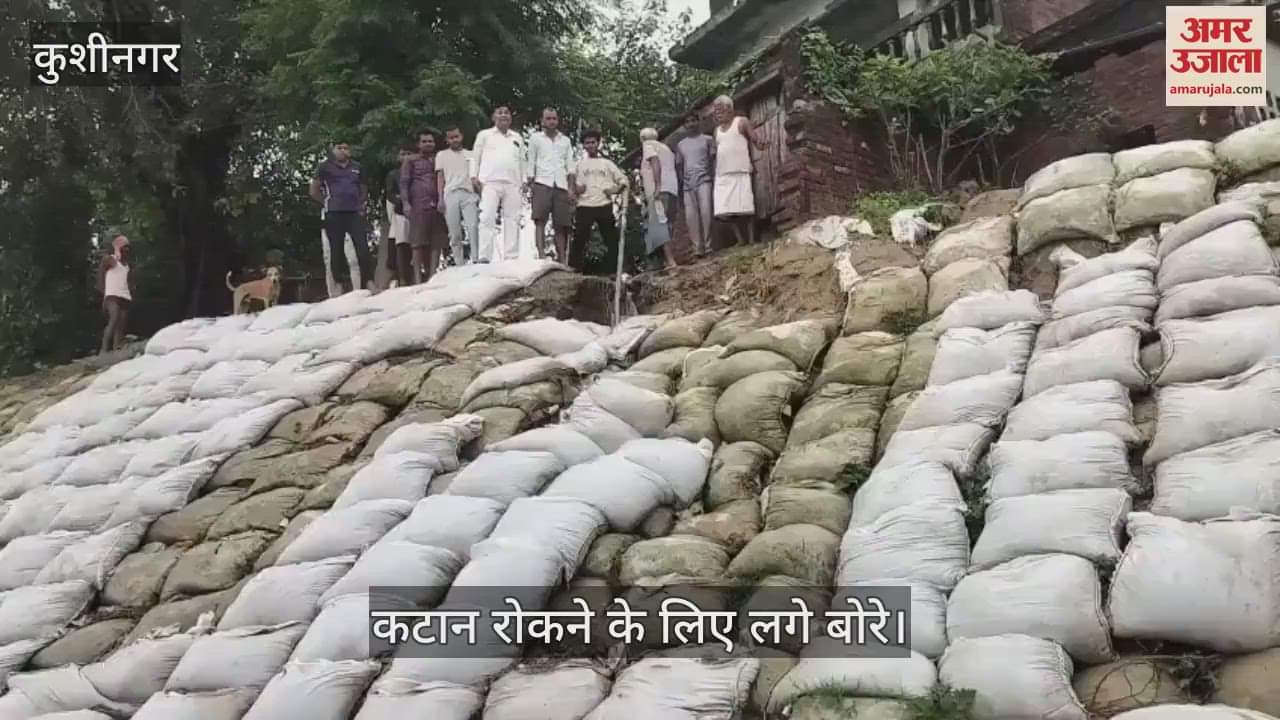 Lakhs of rupees were spent to stop the cutting, but still the cutting started