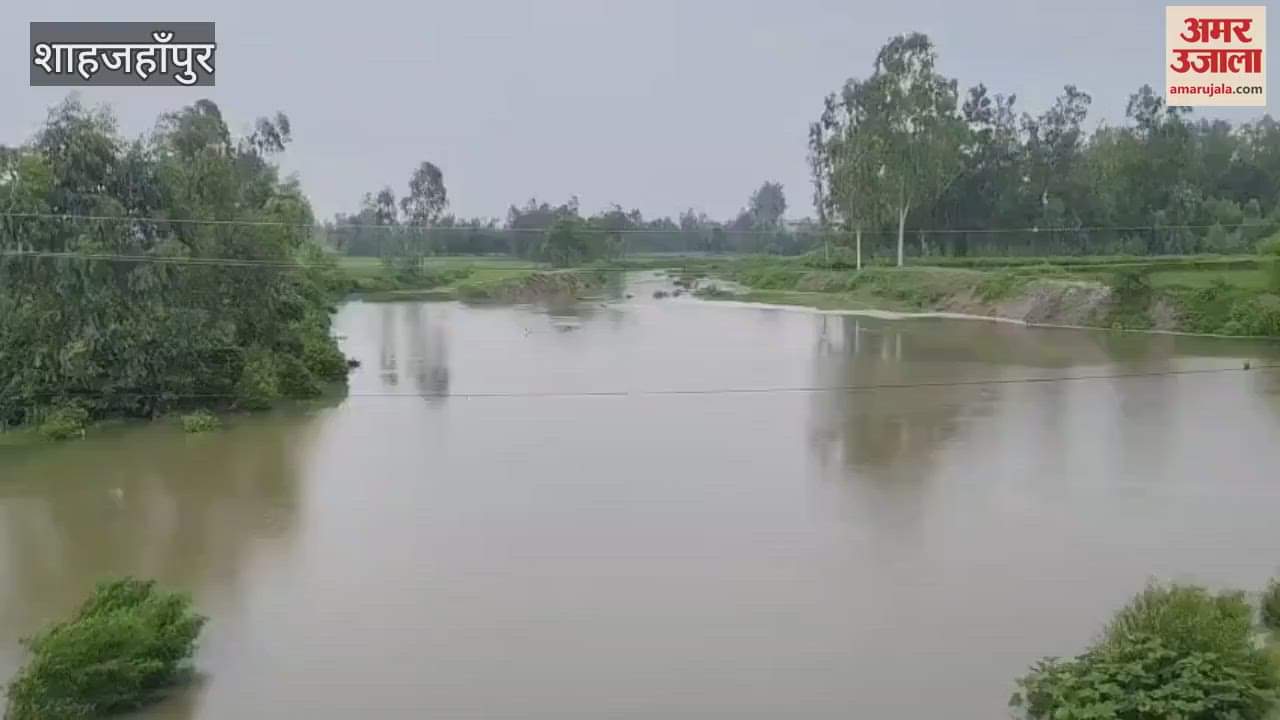 Bhaansi river revived due to rain in Shahjahanpur