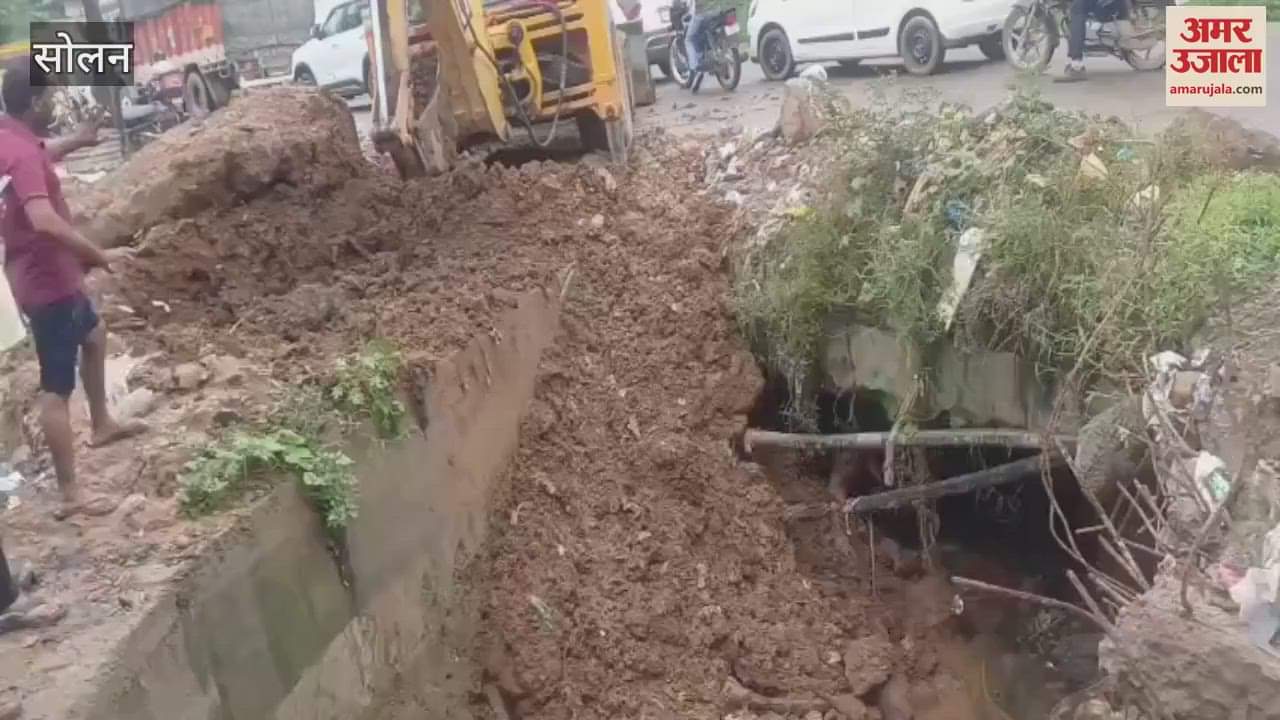 Solan Gau Raksha Dal rescues a bull trapped in a drain for three days