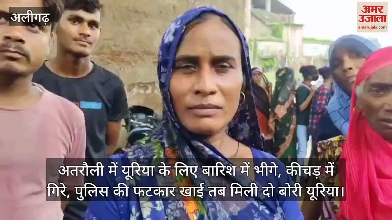 अतरौली में यूरिया के लिए बारिश में भीगे, कीचड़ में गिरे, पुलिस की फटकार खाई तब मिली दो बोरी यूरिया