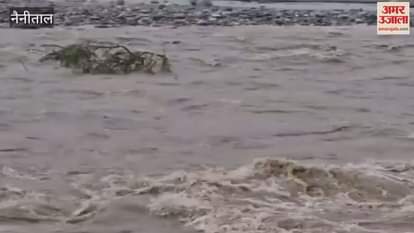 Kosi river water level increased due to heavy rain in Ramnagar