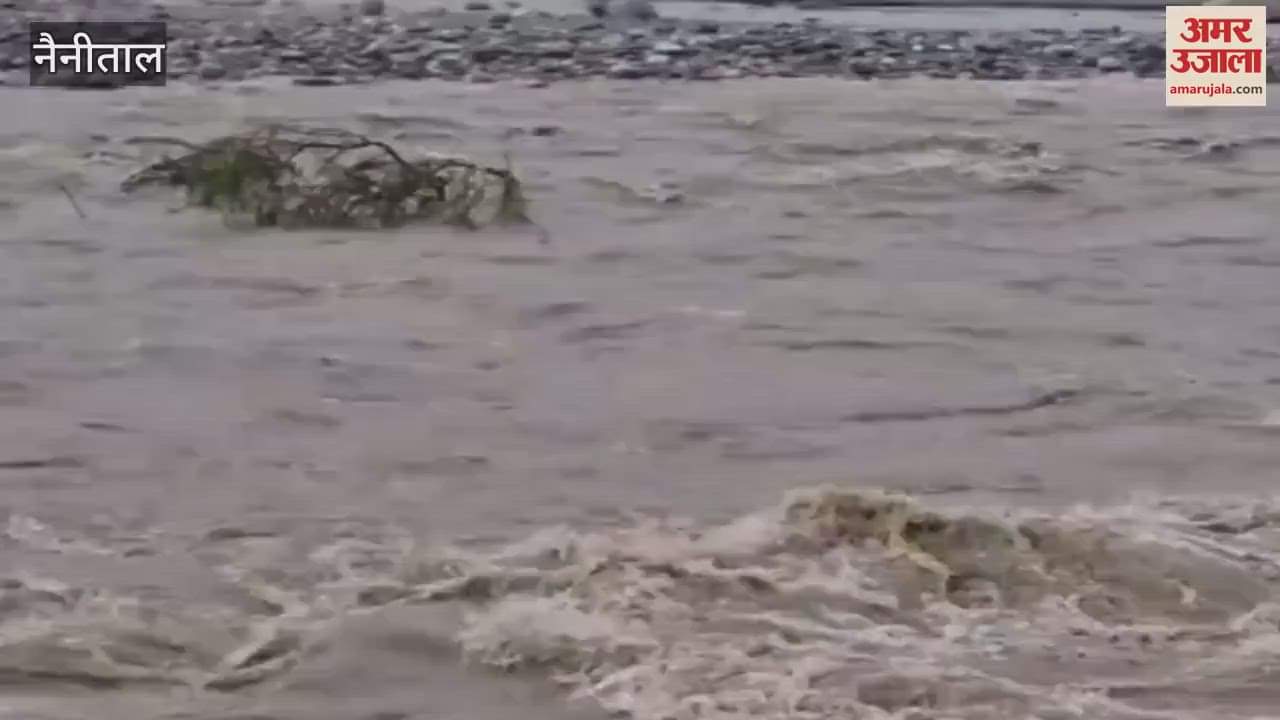 Kosi river water level increased due to heavy rain in Ramnagar