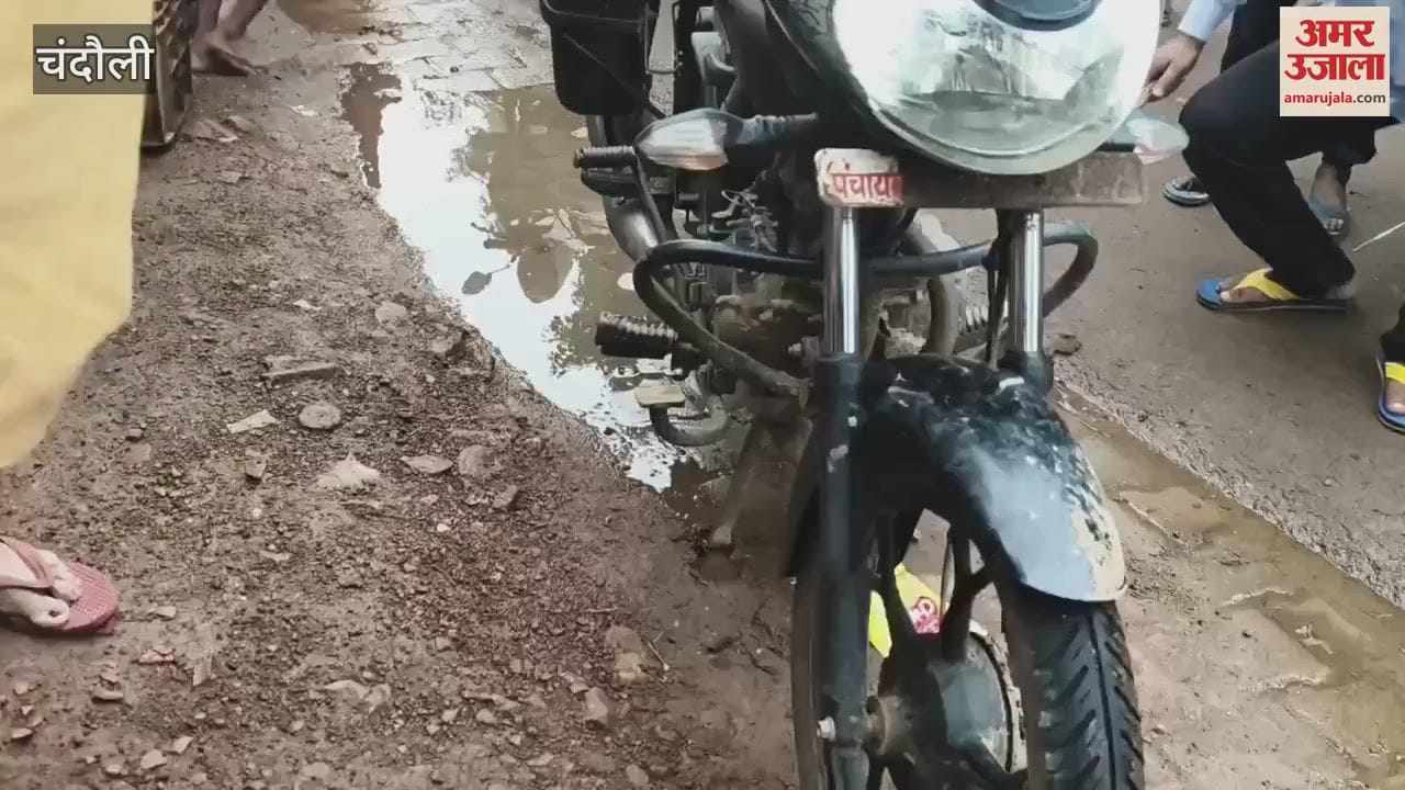 snake entered bike this is how it was removed