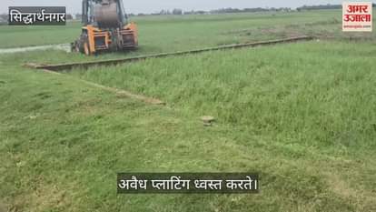 Administration's bulldozer runs on illegal plotting