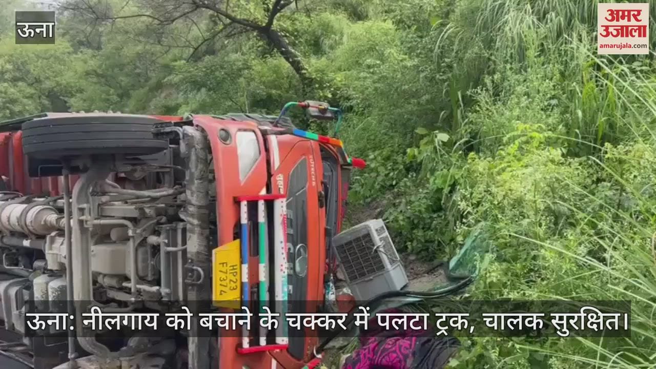 Una: Truck overturns while trying to save Nilgai, driver safe