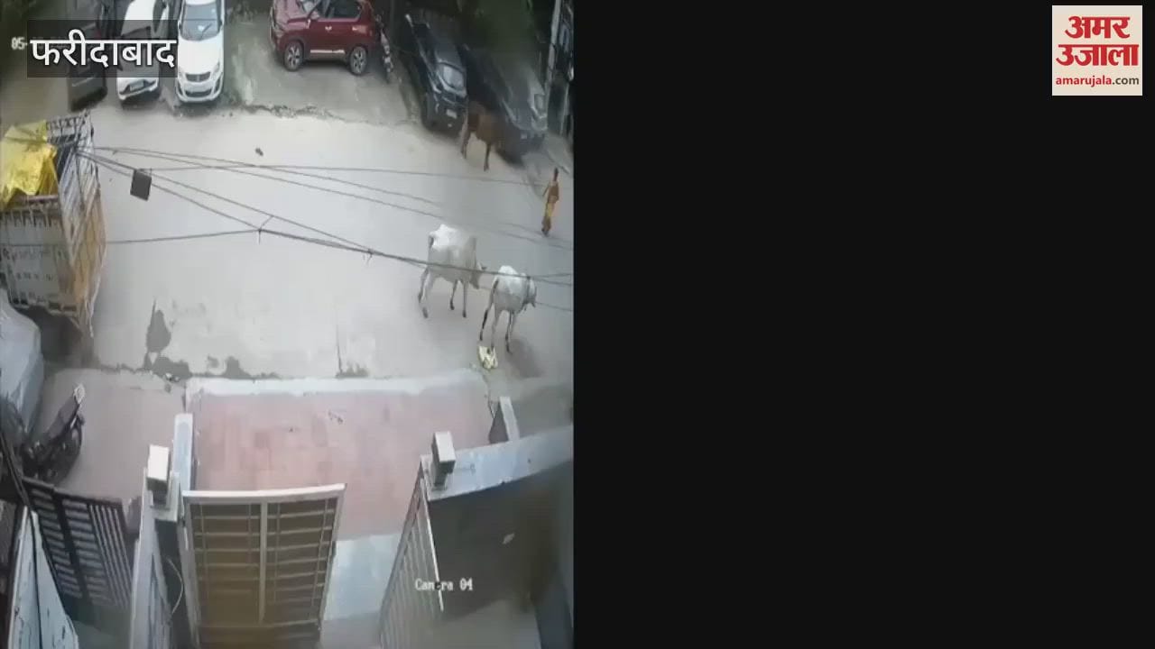 car hit a woman in Faridabad