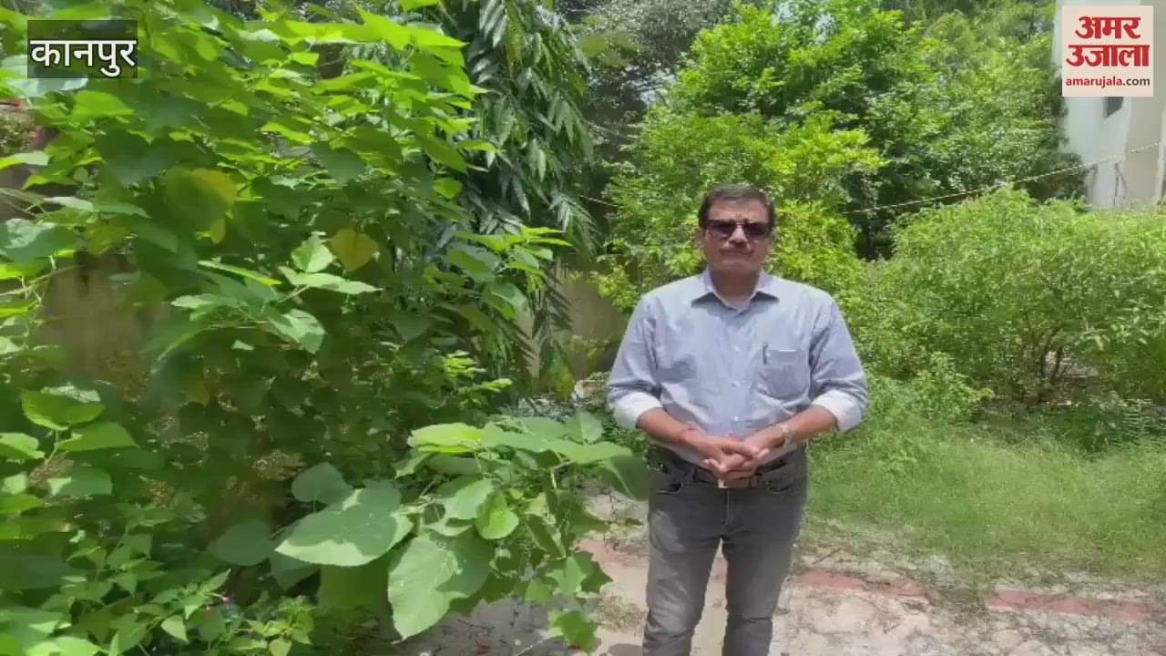 Due to less humidity, rain will be light, senior meteorologist gave information