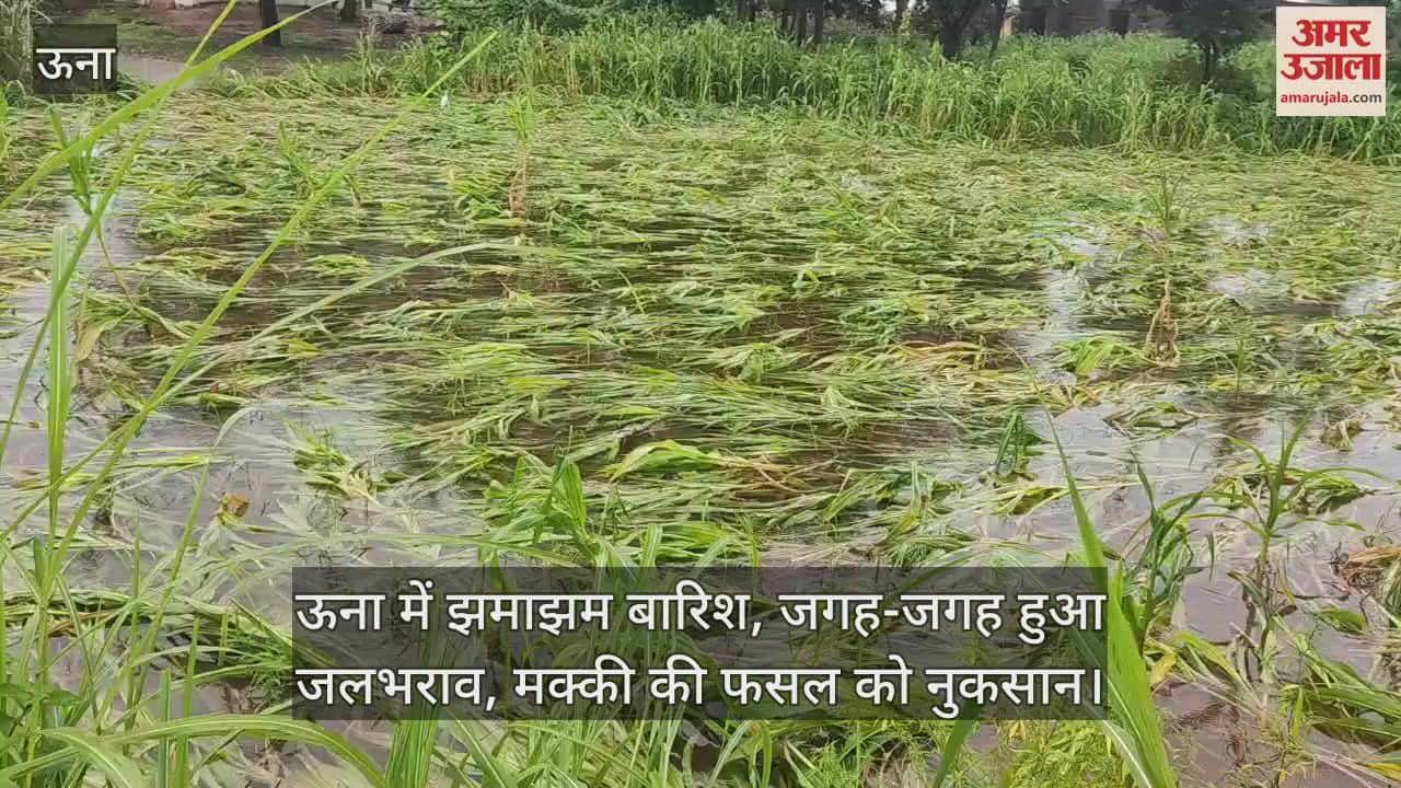 Heavy rain in Una, waterlogging in many places