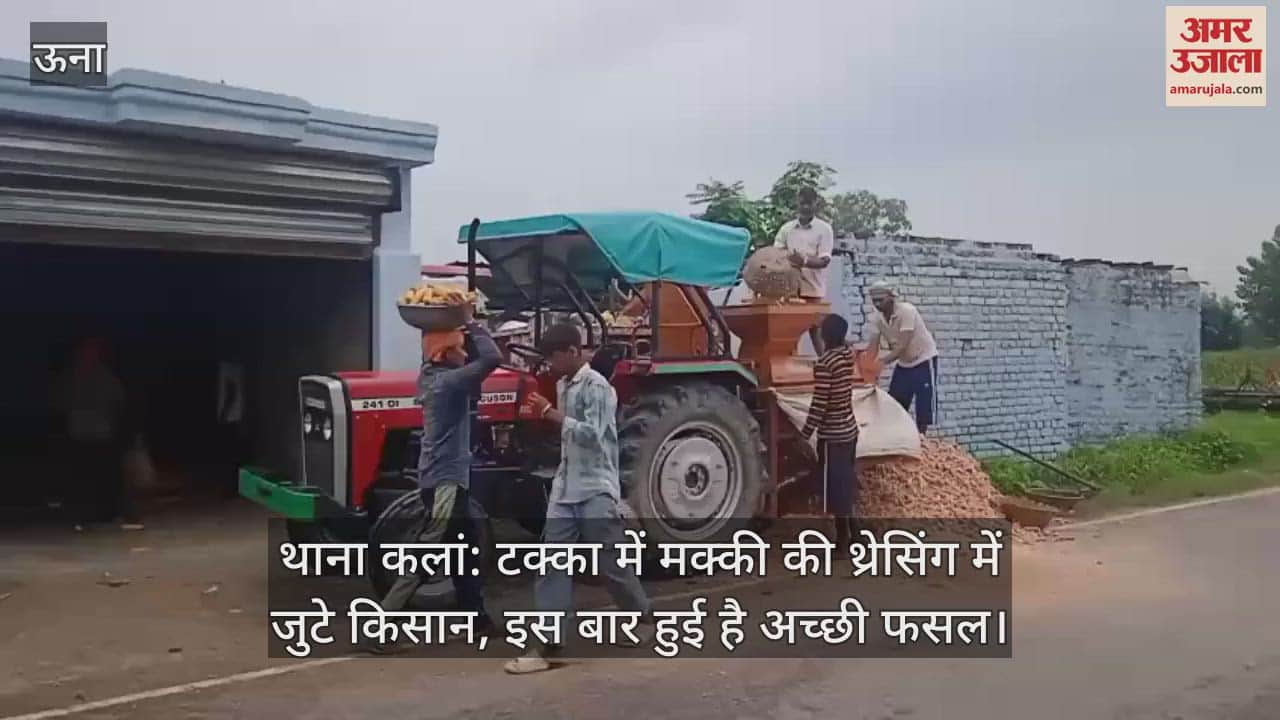 Farmers are busy threshing corn in Takka, this time the crop has been good