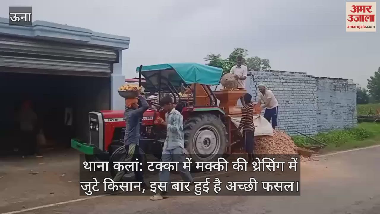 Farmers are busy threshing corn in Takka, this time the crop has been good