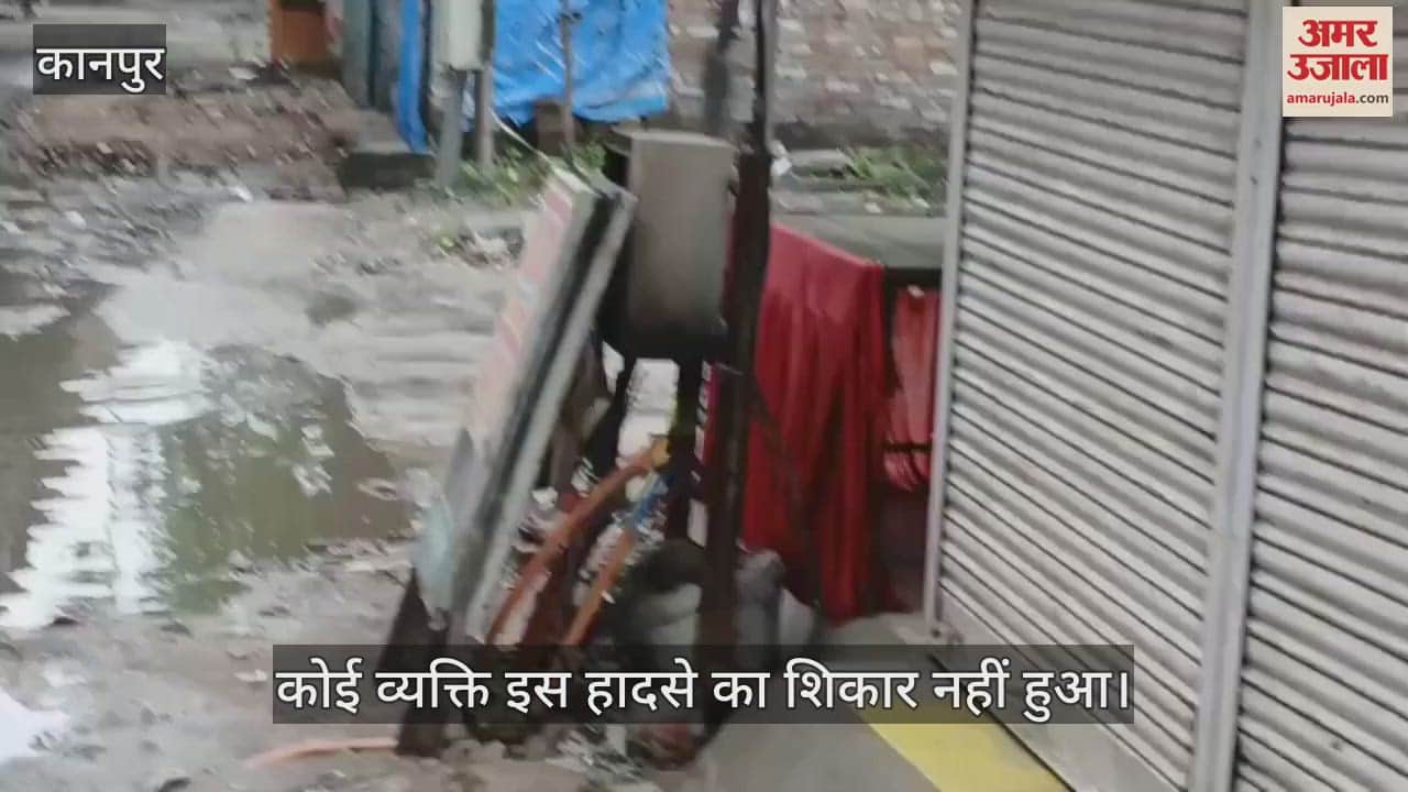 कानपुर के पनकी में करंट से डॉग की मौत, केस्को की लापरवाही उजागर