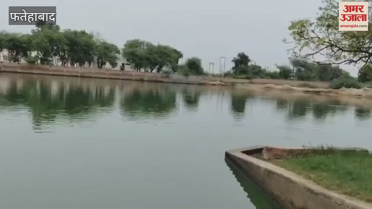 brother of two sisters who went to the pond to take out the buffalo calf died by drowning in the pond In Fatehabad