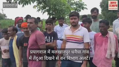 Forest department on alert after leopard sighting in Malkhanpur Dhanaicha village in Prayagraj, villagers terrified