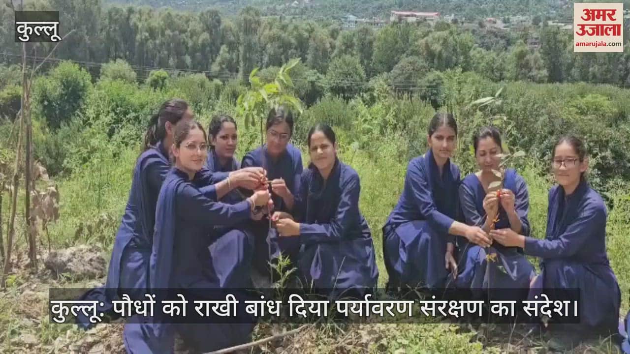 Kullu: Rakhi tied to plants, message of environmental protection