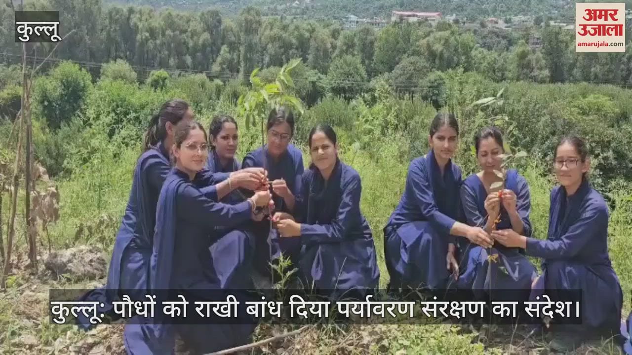 Kullu: Rakhi tied to plants, message of environmental protection
