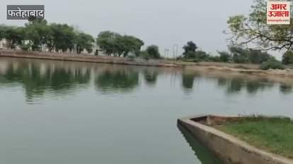 In Fatehabad, the brother of two sisters who went to the pond to take out the buffalo calf died by drowning in the pond